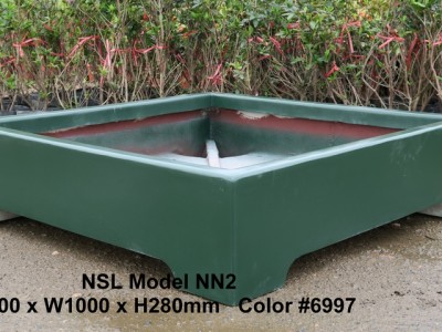 NSL Model NN2